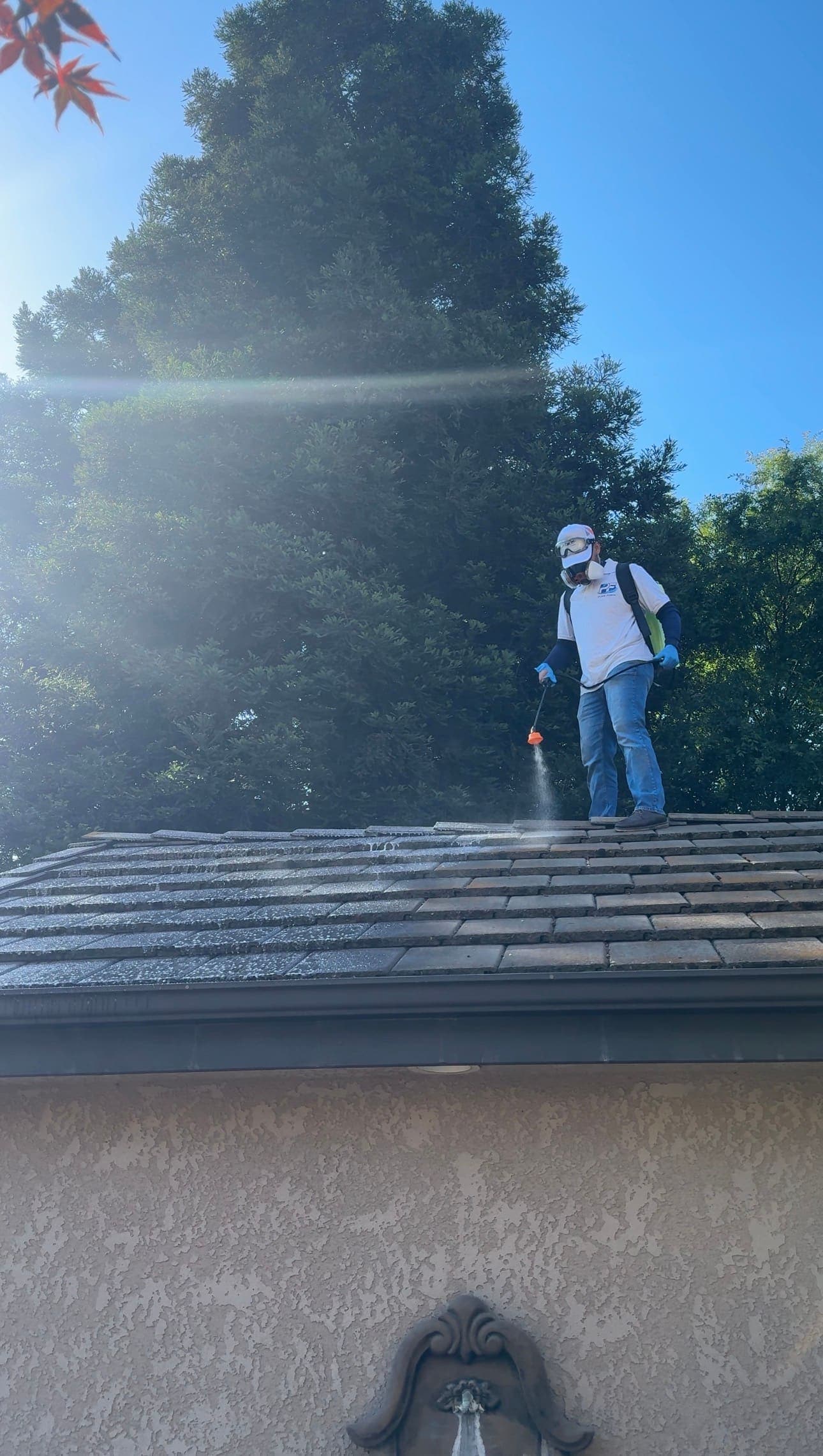 LUCENT cleaning result