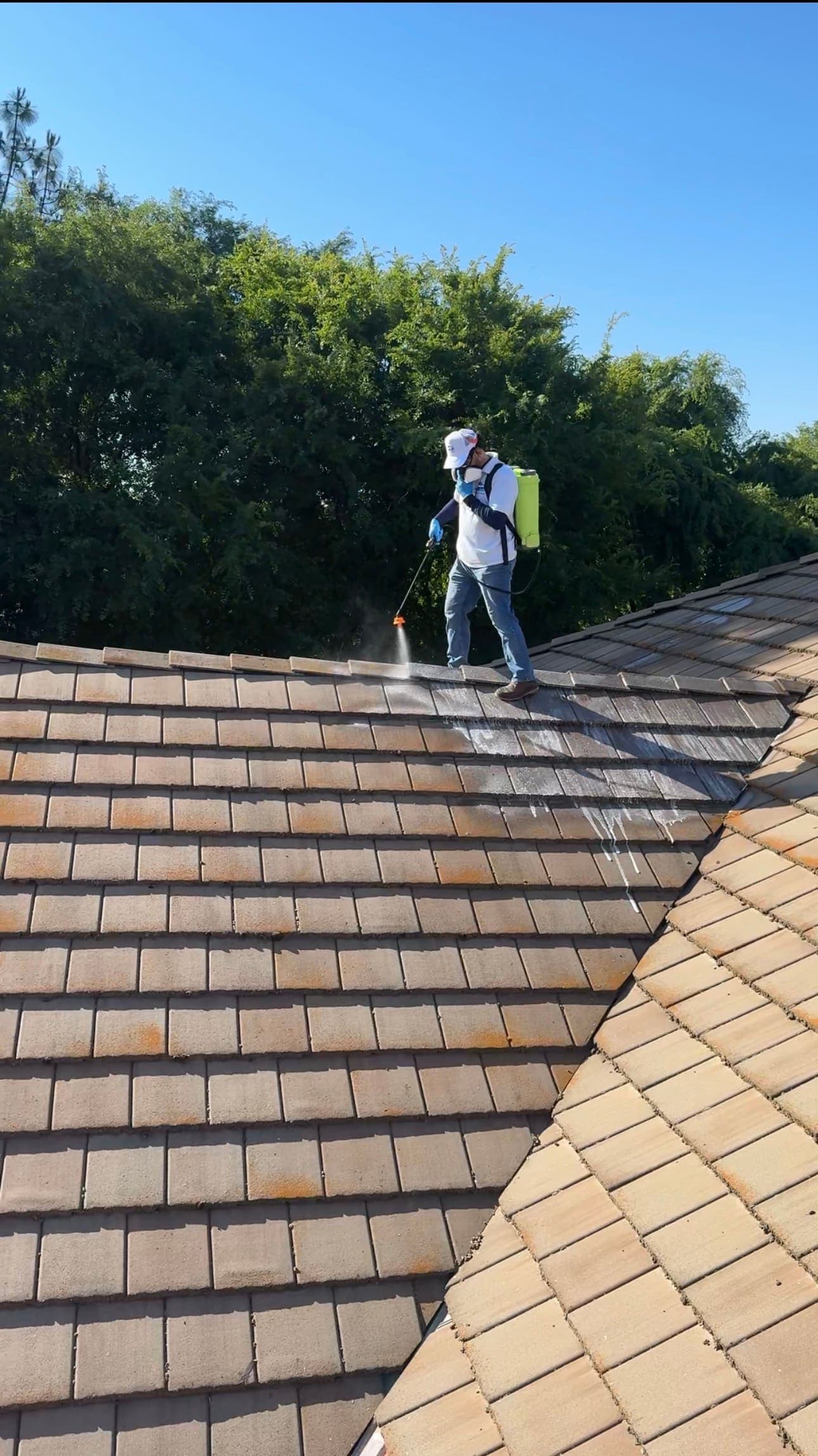 LUCENT cleaning result
