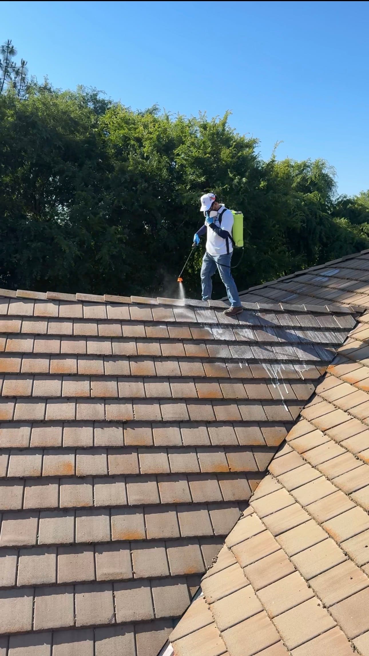 Pressure Washing / Soft Washing job by LUCENT in Clovis 2